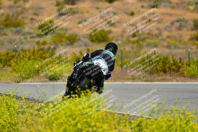 media/May-10-2024-2WTD (Fri) [[c88d7990af]]/Group C/Session 2-The Bowl/